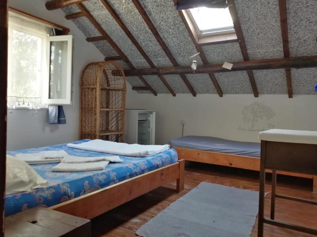 Ecer Homestay Kusadasi