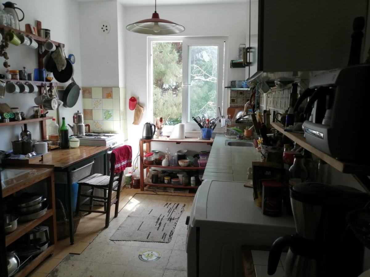 Gazde/Camere de închiriat Ecer *