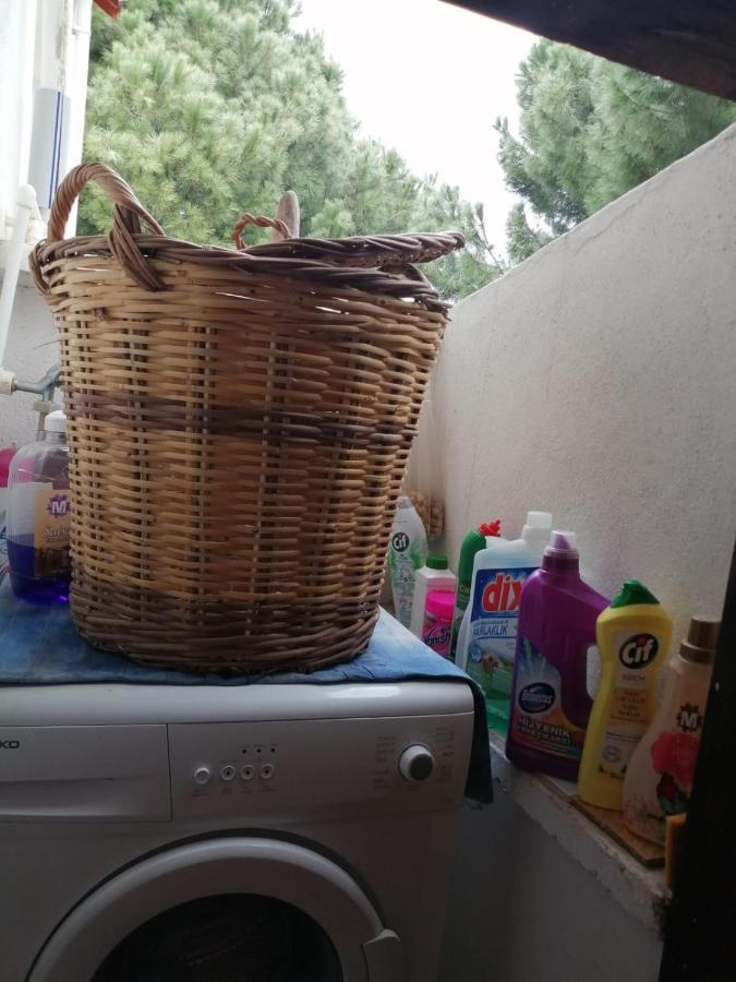 Ecer Gazde/Camere de închiriat *