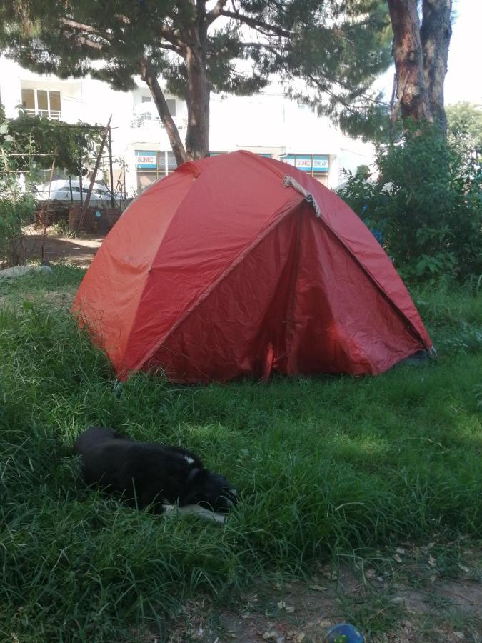 Ecer Kusadası