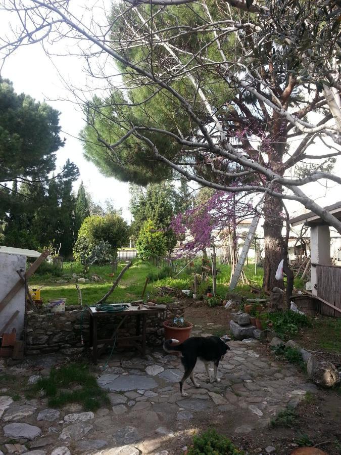 Ecer Gazde/Camere de închiriat Kusadası