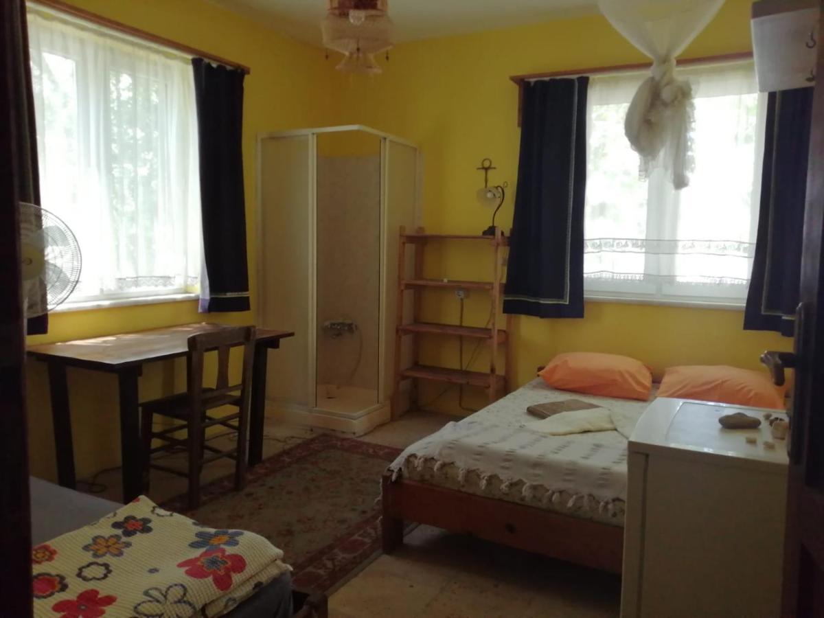 Gazde/Camere de închiriat Ecer Kusadası