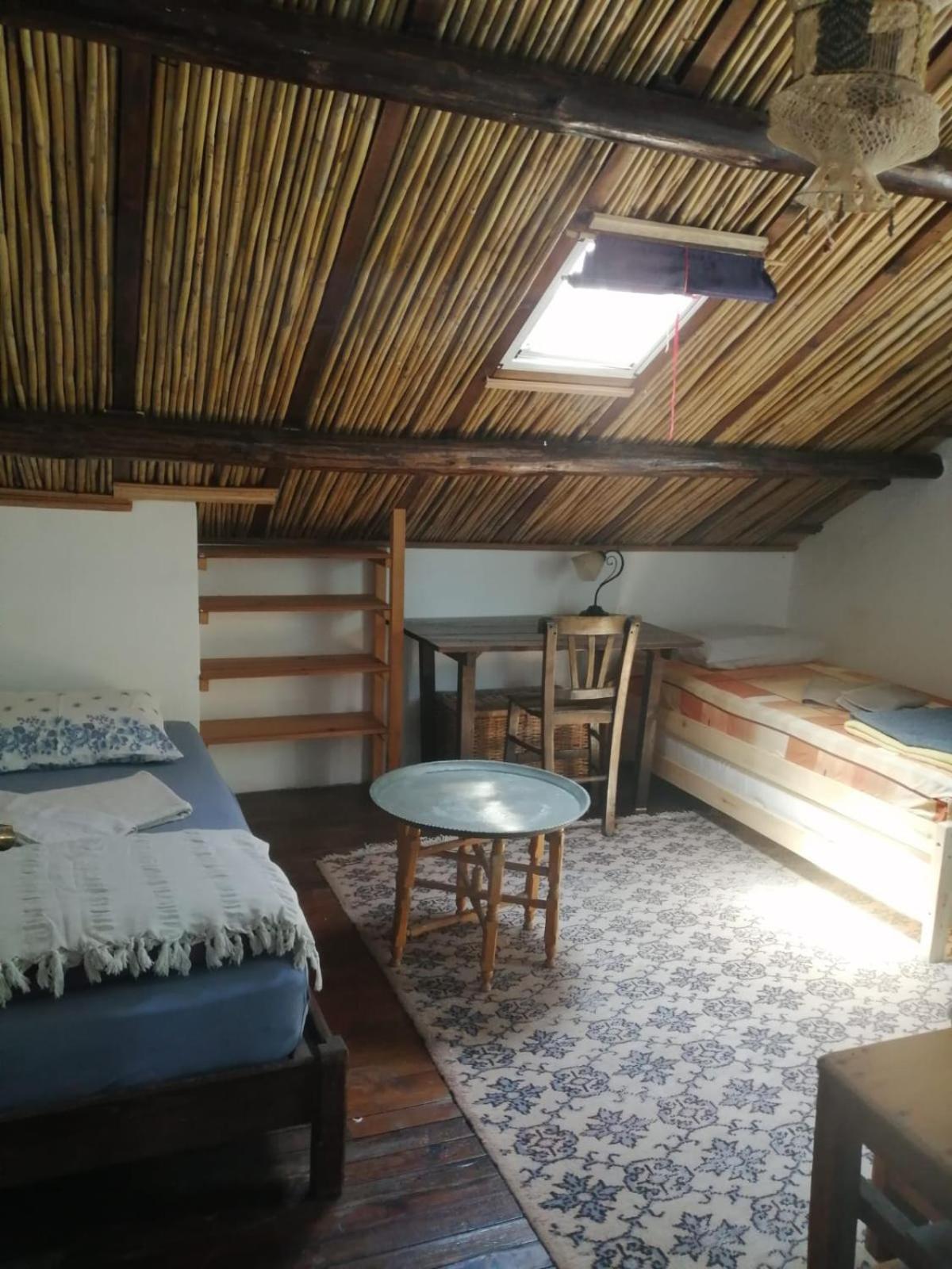Gazde/Camere de închiriat Ecer Kusadası