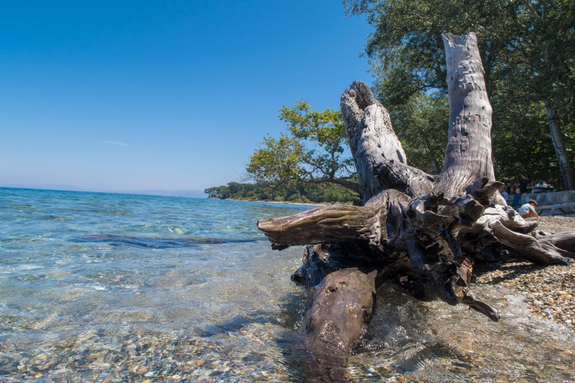 Accommodatie bij particulieren Ecer Kuşadası