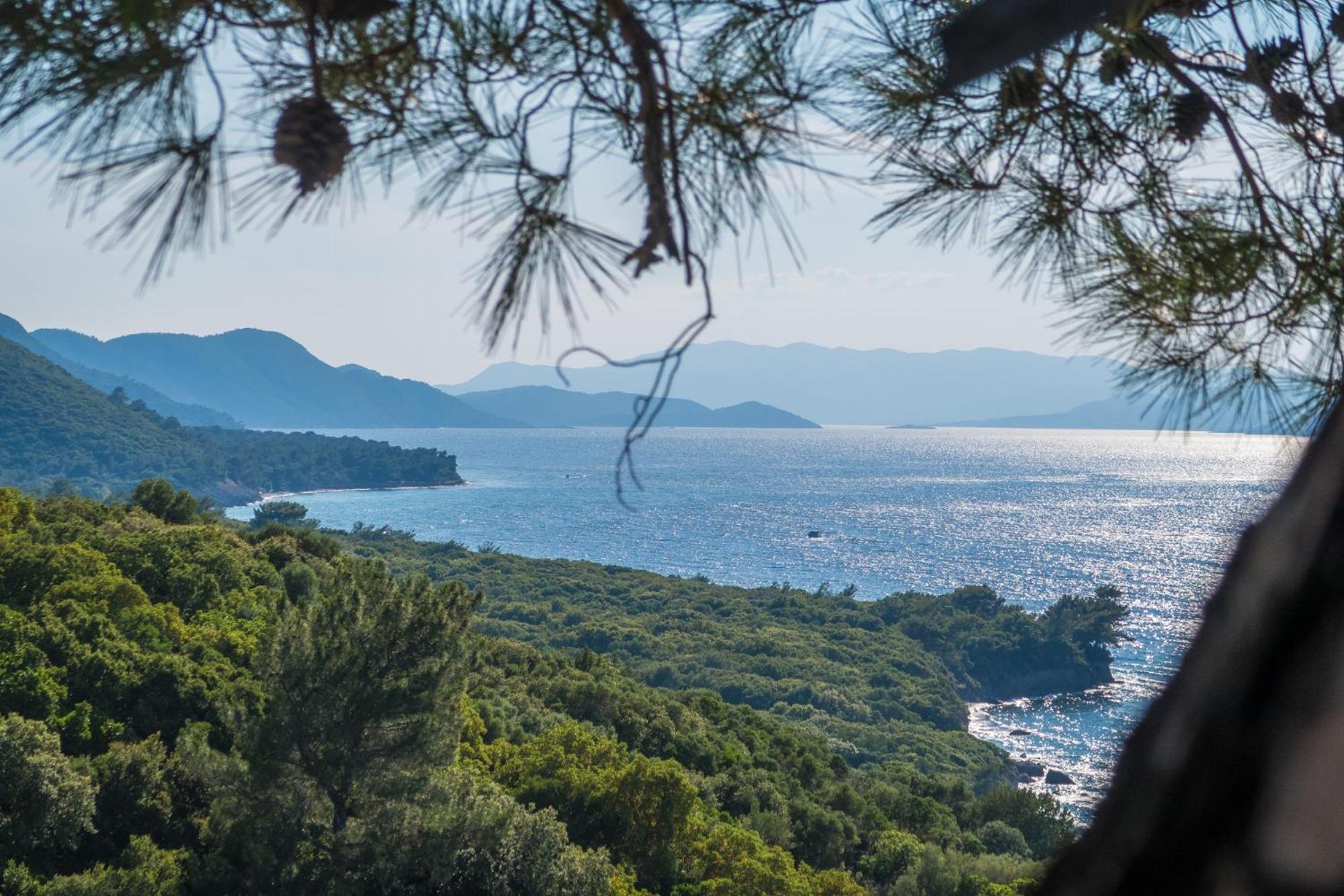 Accommodatie bij particulieren Ecer Kuşadası
